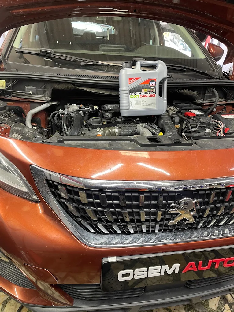 OSEM AUTO - fotoğraf 3