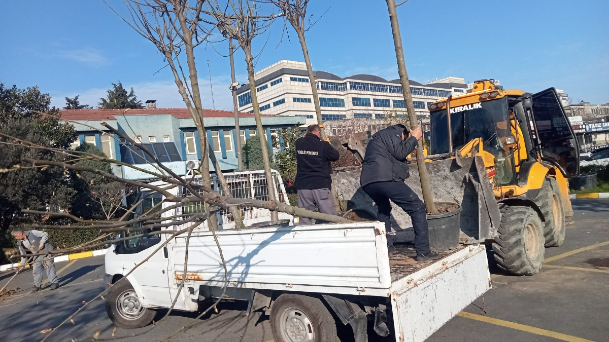 SİTEMİZ AĞAÇLANDIRMA ÇALIŞMALARI YAPILDI...