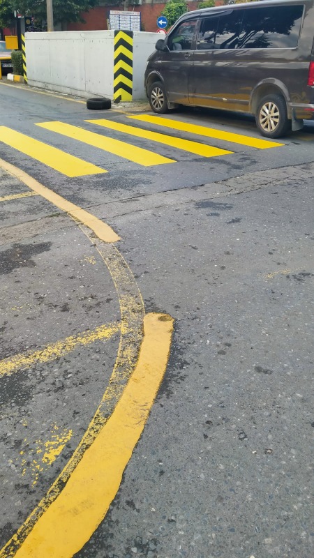 Sitemizin Ana Yollarında Trafik ve Yaya Çizgileri Yenilendi